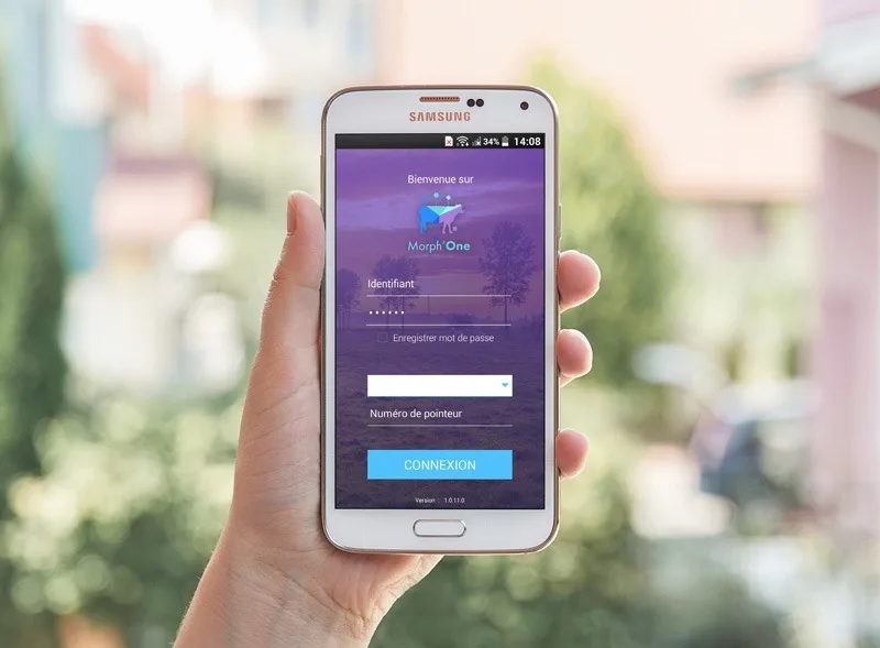 morpho'one application de saisie des pointages morphologiques
