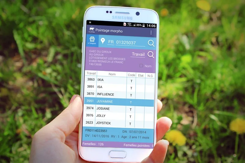 interface de saisie des pointages morphologiques